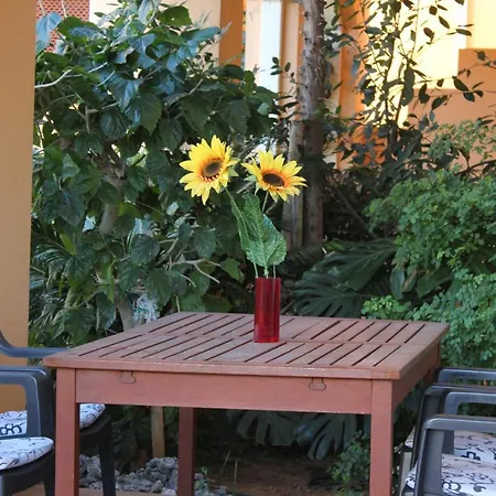 Apartamento 186 Palm Beach Dénia